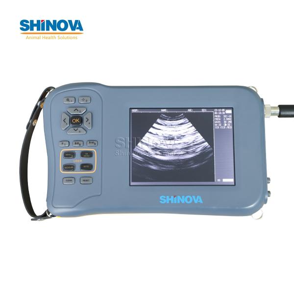 Ручное Ветеринарное УЗИ