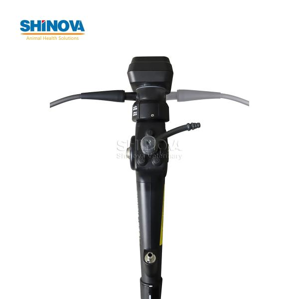 Ветеринарный бронхоскоп Мобильное ветеринарное видео Эндоскоп с сенсорным экраном 10 дюймов.