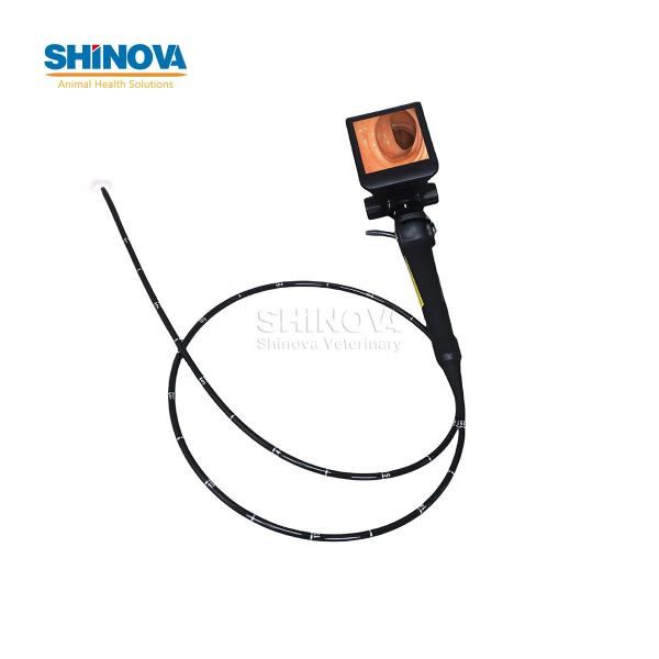 Ветеринарный бронхоскоп Портативное ветеринарное видео высокой четкости Эндоскоп с сенсорным экраном 4 дюйма Монитор