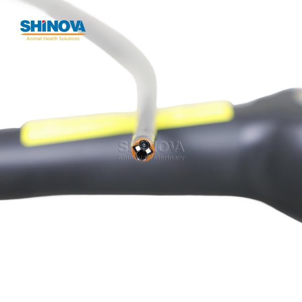 Ветеринарный бронхоскоп Портативное ветеринарное видео высокой четкости Эндоскоп с сенсорным экраном 4 дюйма Монитор