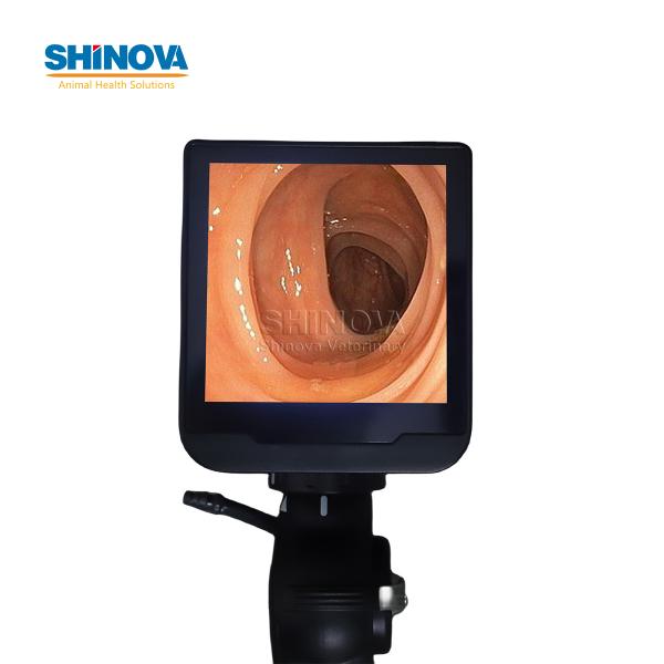 Ветеринарный бронхоскоп Портативное ветеринарное видео высокой четкости Эндоскоп с сенсорным экраном 4 дюйма Монитор