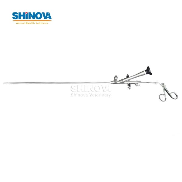 Ветеринарный уретерореноскоп