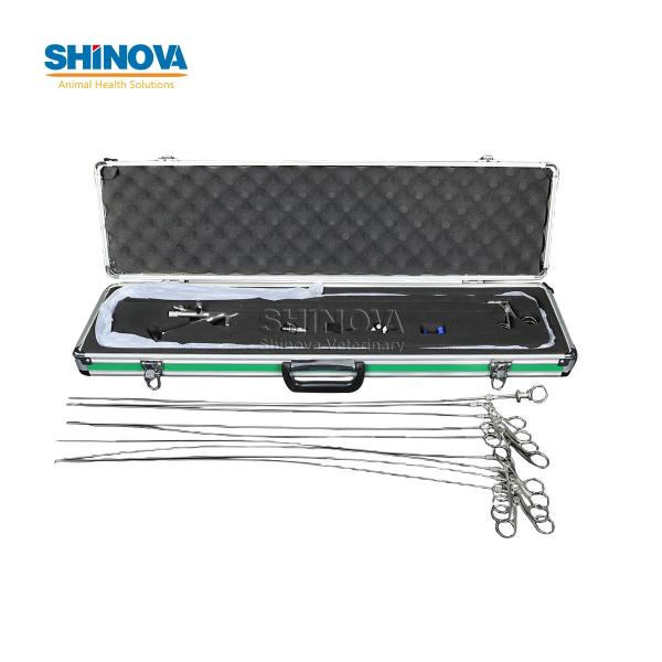 Ветеринарный уретерореноскоп