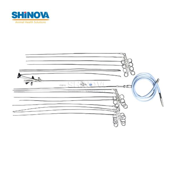 Ветеринарный уретерореноскоп