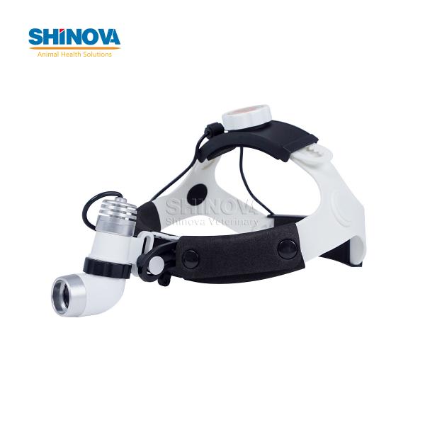 Головной Свет AC / DC