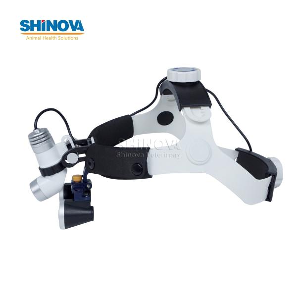 Головной Свет AC / DC