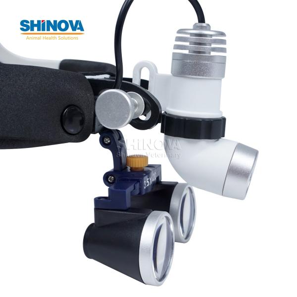 Головной Свет AC / DC