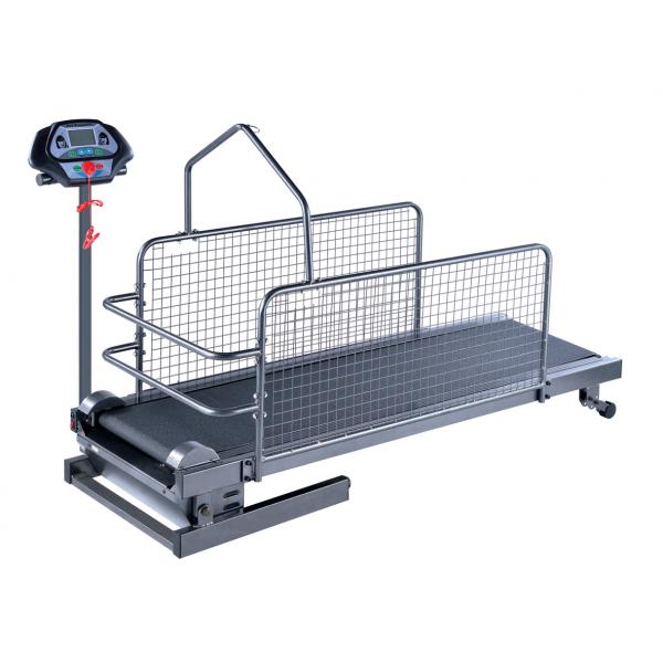 Беговая Дорожка для Животных