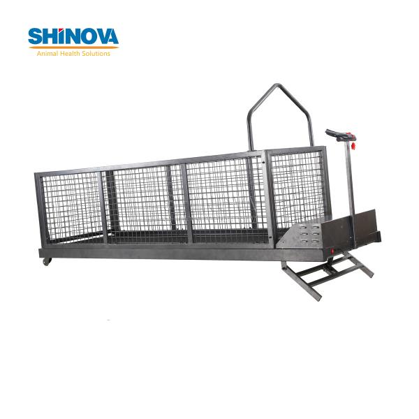 Беговая Дорожка для Животных