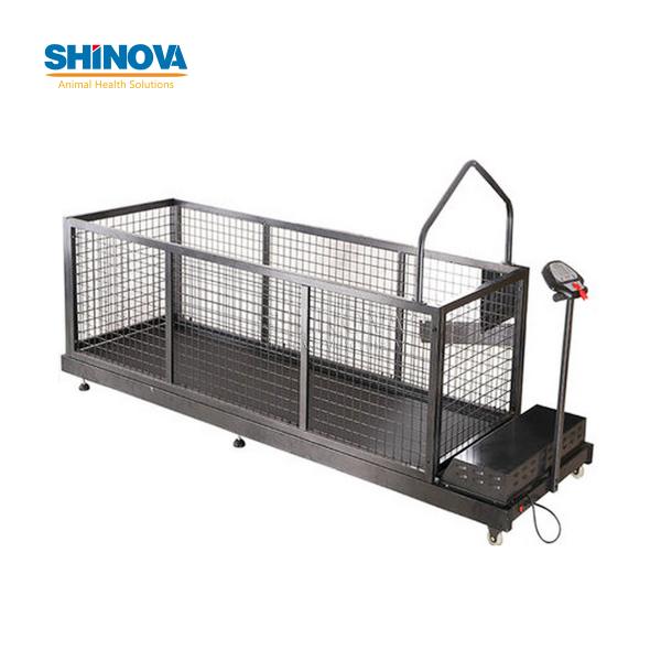 Беговая Дорожка для Животных