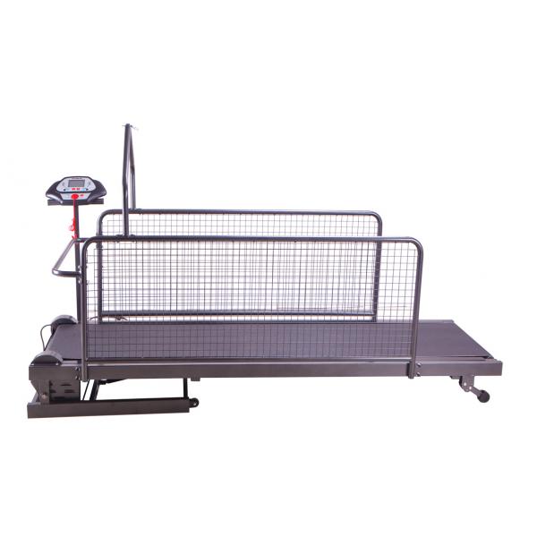 Беговая Дорожка для Животных