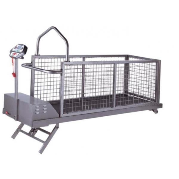 Беговая Дорожка для Животных