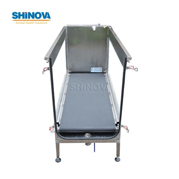 Подводная Беговая Дорожка