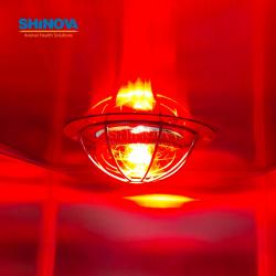 Терапия из нержавеющей стали кислородной клетки (простой отделкой интенсивной терапии)