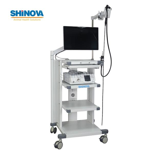 Ветеринария Видеоэндоскоп