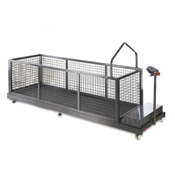 Беговая Дорожка для Животных